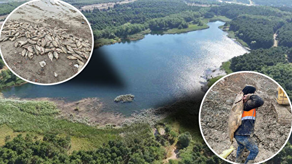 Adından pek de eser kalmayan Mavigöl'ün içler acısı hali! Beton döküldü, binlerce balık oksijensizlikten öldü