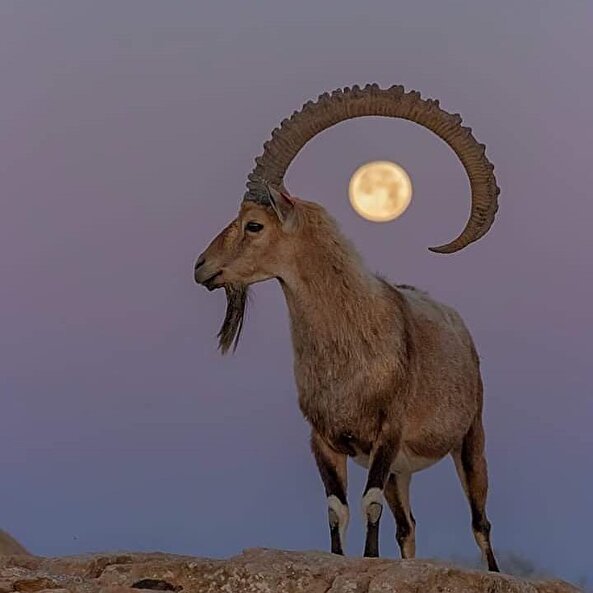 Gördüğümüz en iyi çerçeve! 🌕⠀