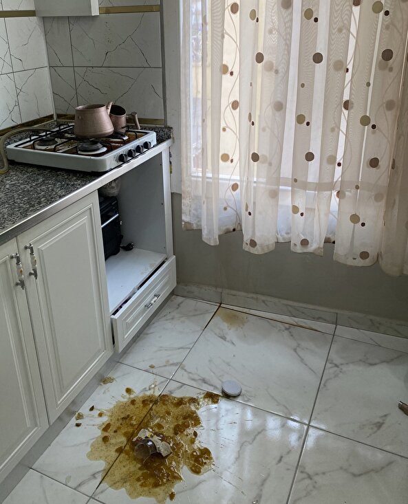 Anne ben senin kanınım