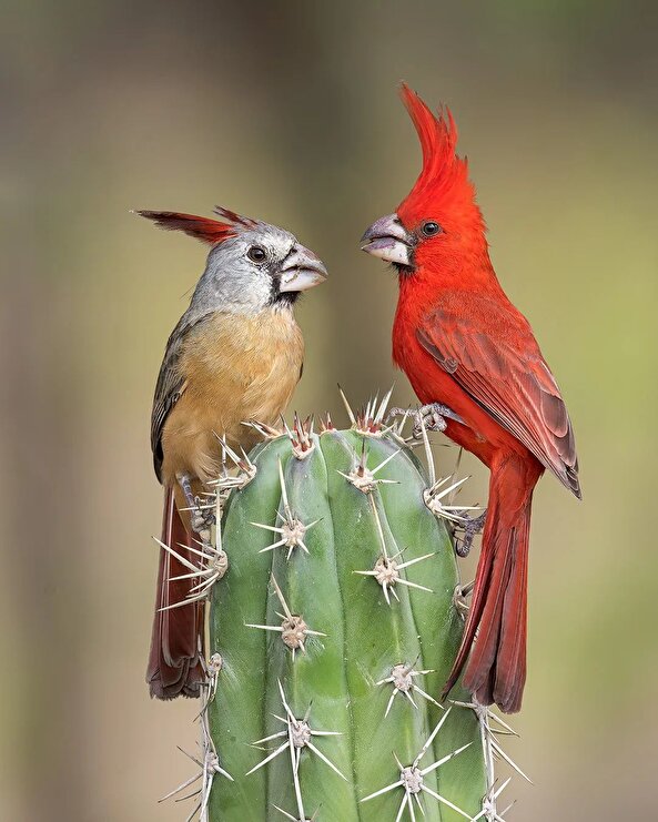 Sohbet koyuysa yeri önemsiz 😂