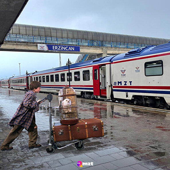 Harry Potter ve Doğu Ekspresi Taşı