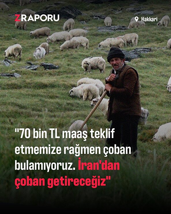 Hakkari'de bir besici: İran'dan çoban getireceğiz