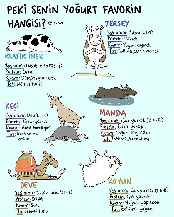 Peki senin yoğurt favorin hangisi?