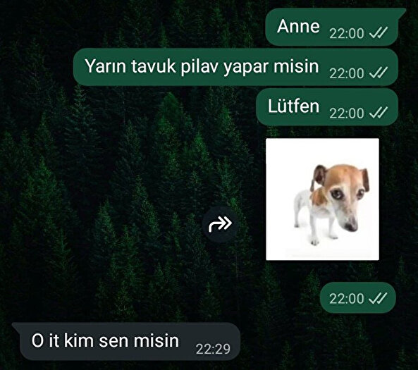 Anne zorbalığı diye bir gerçek var