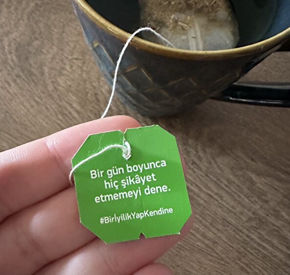 Dünyanın en zor görevi