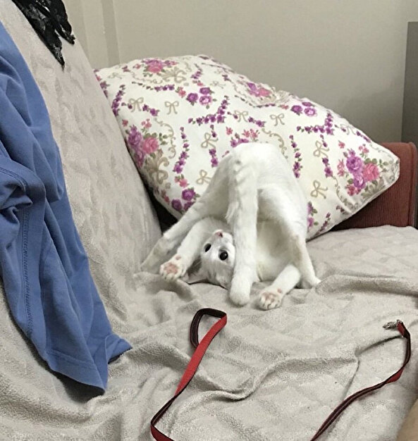 Gün boyu sırtım neden ağrıyor diye düşündükten sonra bizim oturma şekli