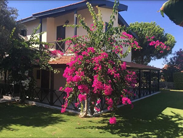 Villa Istanbul Dalyan Da 4 Yatak Odali Kiralik Yazlik Vil Tatil Villam