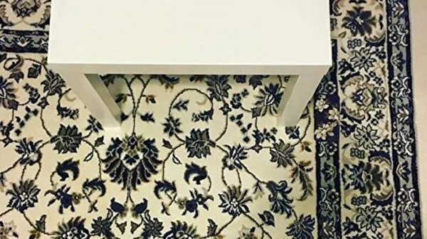 fotograftaki telefonu gorebiliyor