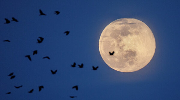 Largest Supermoon Of 2020 Rises On A World Battling Covid 19