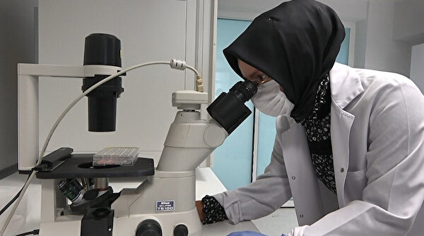 kok hucre tedavisi ile gebelik kendi hucrelerinden yumurta hucresi uretilebilir yeni safak