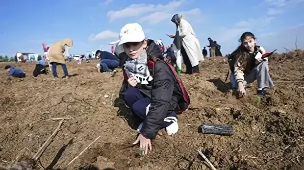 10 آلاف شتلة تخلّد ذكرى أطفال غزة.. رسالة بيئية وإنسانية من إسطنبول