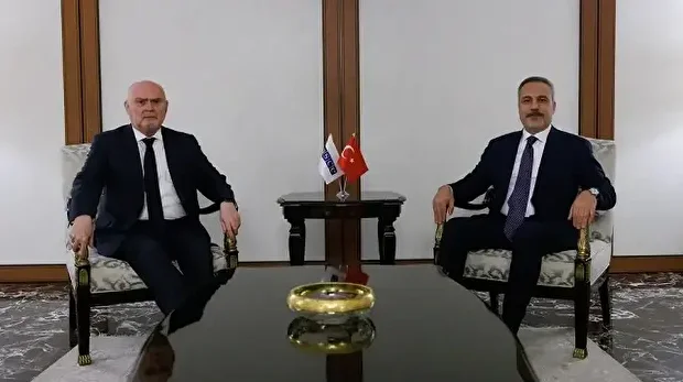 أنقرة.. فيدان يلتقي أمين منظمة الأمن والتعاون في أوروبا
