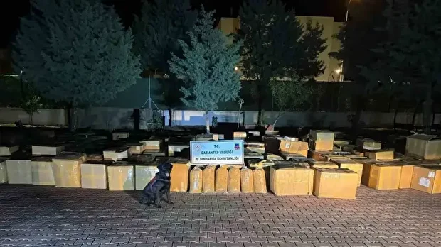 Kaçakçılıkla mücadele sürüyor.