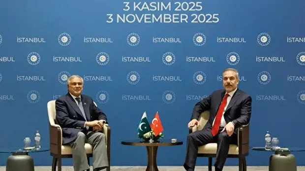 إسطنبول.. وزير الخارجية التركي يلتقي نظيره الباكستاني