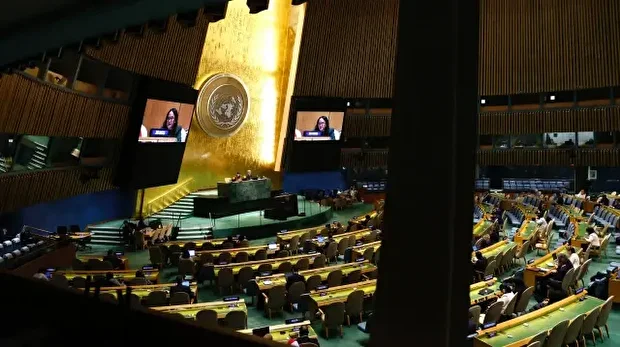 Les délégués se réunissent pour la onzième session extraordinaire d'urgence de l'Assemblée générale.