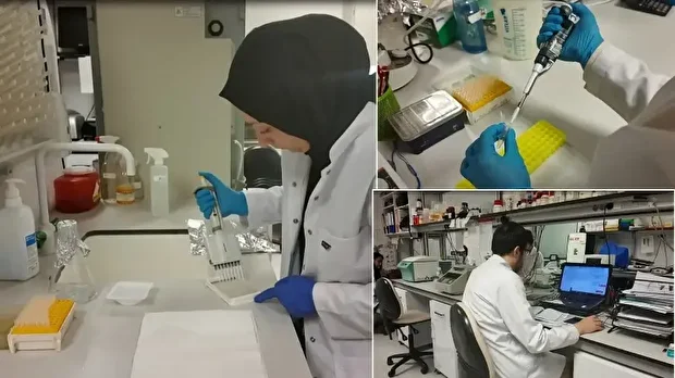 Kırım Kongo Kanamalı Ateşi hastalığına karşı geliştirilen aşının klinik öncesi çalışmaları tamamlandı