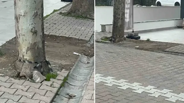 Para dolu poşeti bulan çalışan, durumu market müdürüne bildirdi