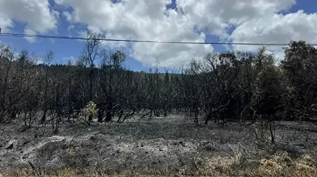 Le plan Orsec feux de forêt de niveau 2 demeure activé en raison d’un vent fort nécessitant une surveillance accrue, malgré une “situation évoluant favorablement” selon la Sécurité civile.