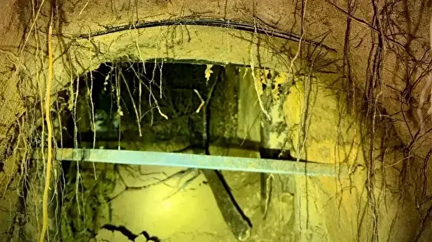 180 kaçak göçmen kazdıkları tünelle Polonya’ya geçti