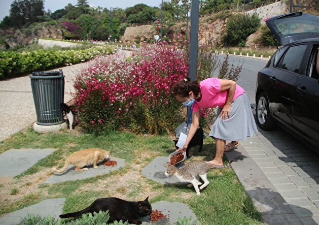 Turks take to streets to feed stray animals during nationwide lockdown