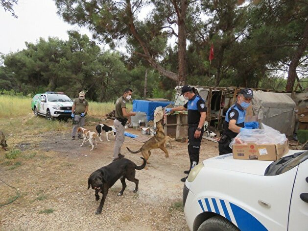 Turks take to streets to feed stray animals during nationwide lockdown
