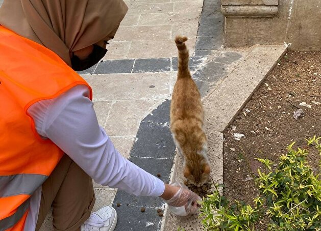 Turks take to streets to feed stray animals during nationwide lockdown