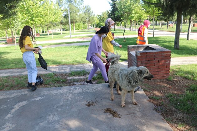 Turks take to streets to feed stray animals during nationwide lockdown