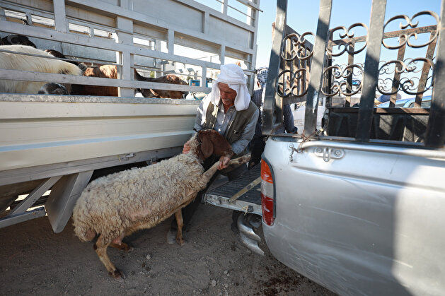 Eid al-Adha preparations in West Bank
