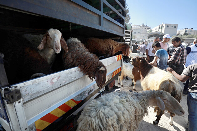 Eid al-Adha preparations in West Bank