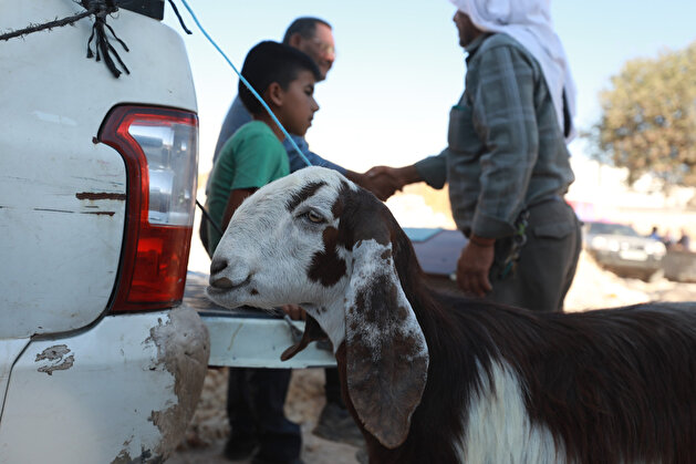 Eid al-Adha preparations in West Bank