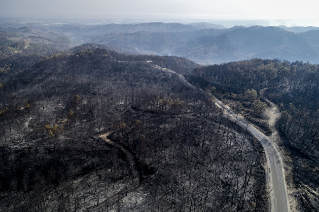 Aftermath of forest fire in Turkey's Antalya