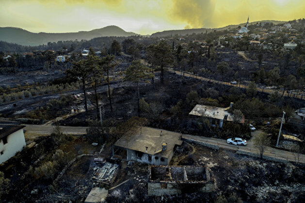 Aftermath of forest fire in Turkey's Antalya