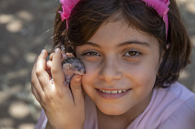 Animal-friendly family in Diyarbakir take care of 7 hedgehogs