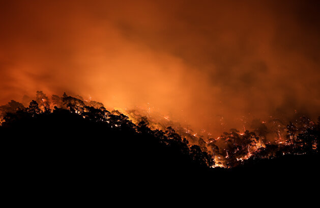 Massive forest fires ravish southern Turkey