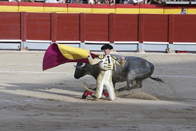 Bullfighting at the Chinchon bullfight arena