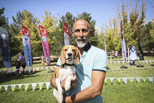 Furry friends go for the gold in Turkey dog competition