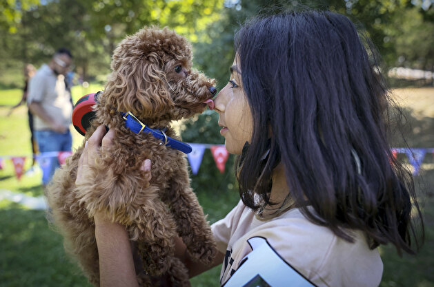 Furry friends go for the gold in Turkey dog competition