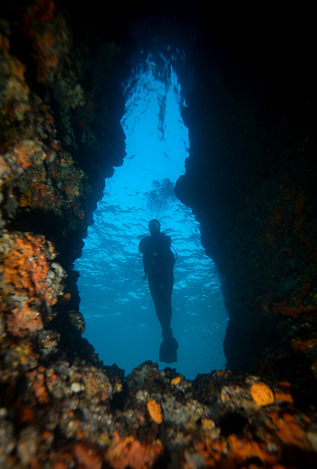 Divers discover underwater world in Turkey's Aydin