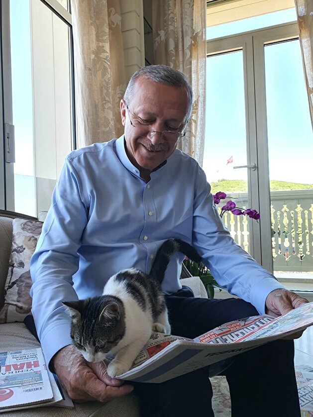President Erdogan reads Sunday papers with adorable cat on his lap
