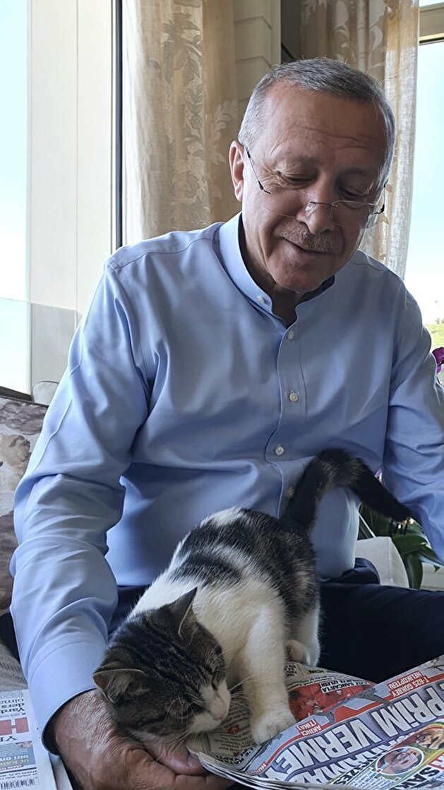 President Erdogan reads Sunday papers with adorable cat on his lap