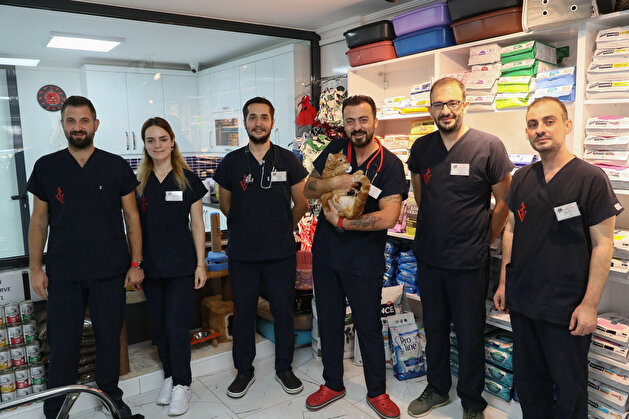 Pika the cat tries on new shoes for prosthesis