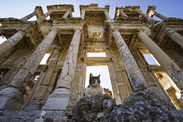 Gods and goddesses: Ephesus Ancient City enraptures visitors in Turkey