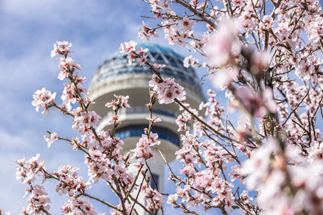 Spring blooms in Turkey's Ankara
