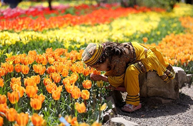 2 million flowers: Iranians delight as vibrant Asara Tulip Festival kicks off