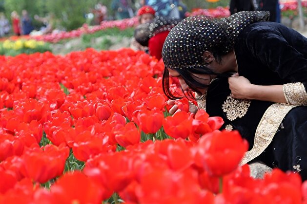 2 million flowers: Iranians delight as vibrant Asara Tulip Festival kicks off