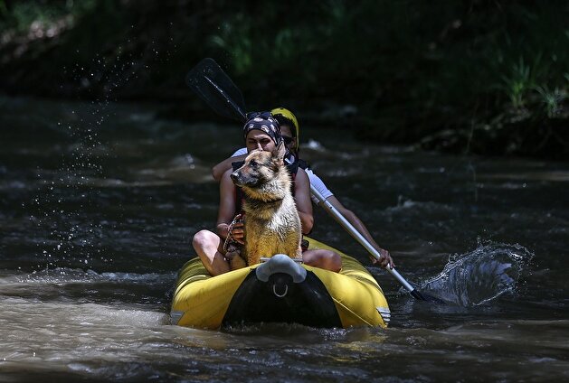 Meet Leo: Bursa’s furry rafting mascot