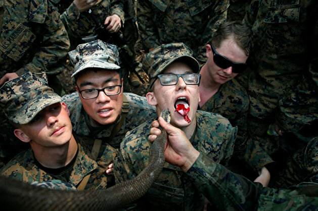 US troops drink blood of decapitated cobras, eat spider eggs