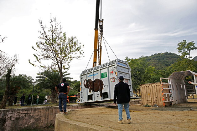 Pakistan's 'loneliest' elephant airlifted to Cambodia