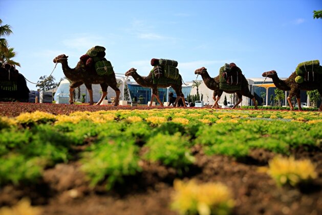 Living plant sculptures ready for EXPO 2016 Antalya