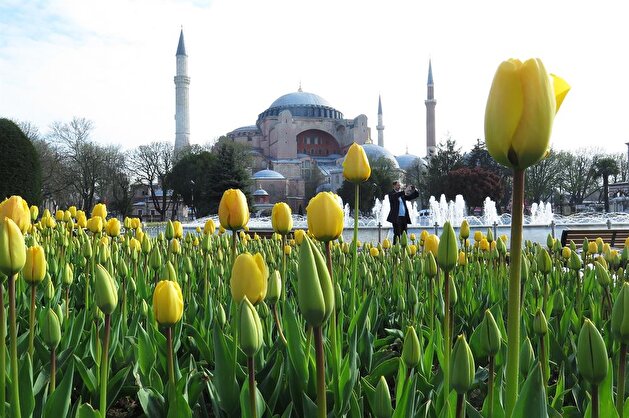 Istanbul’s tulip season is in full bloom